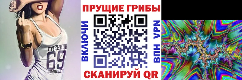 Псилоцибиновые грибы Cubensis  купить наркотики сайты  Куса 